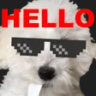 Selected profile picture