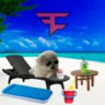 SUGXR Fan Page FaZe