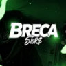 BRECA STOR$ Community #1.5K