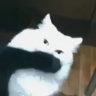 toolazytomakeanewuser.