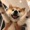 Profile picture for this group