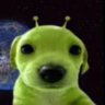 dogmmann