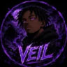 VEIL