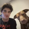Profile picture