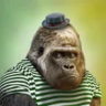 Matched profile picture