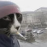 Matched profile picture