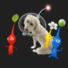 Matched profile picture