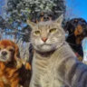 Matched profile picture