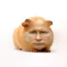 poproshaika