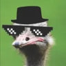 Matched profile picture