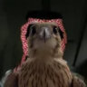 Matched profile picture
