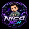 nic0_bch