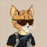 Matched profile picture
