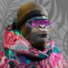 Selected profile picture