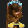 Selected profile picture