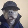 dogpound
