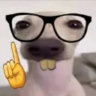 Matched profile picture