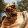 Selected profile picture