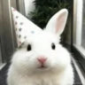 mozu.org