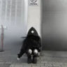 ノscythe ᣟ 。social ᣟ 。vc