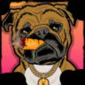 Selected profile picture