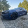 Matched profile picture