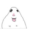 pingslol.123