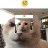 Matched profile picture