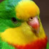Matched profile picture