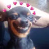 Selected profile picture