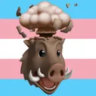 Selected profile picture