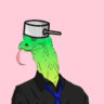 Selected profile picture