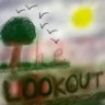 The Lookout