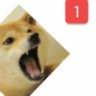 Selected profile picture