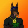 Selected profile picture