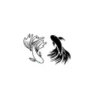 aki_sys
