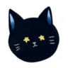 blackcat_chl