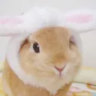 whinsier