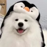 mem0r.y