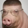 senssylee