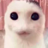 ___wowzers___