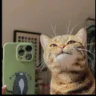 Matched profile picture