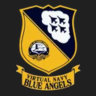 Virtual Navy Blue Angels