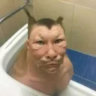 yayoqing