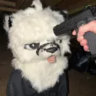 kumapawsies