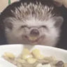 imakitacharlie