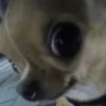 ytmzsd1245