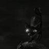 ♱ ₊⋆ཐི⋆ 𝔠𝔞𝔱𝔥𝔢𝔡𝔯𝔞𝔩 ⋆ཋྀ ⋆₊ ♱