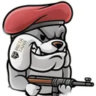 Selected profile picture