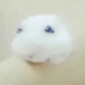 bluetubi